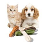 狗洁齿零食厂家-定制包装牙刷形