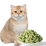 猫干粮生产商-私标100克饼干