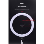 RGB环形灯厂家-12英寸可调光圆形LED光环带三脚架自拍补光