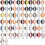 硅胶表带厂家-双色运动硅胶磁吸表带Apple iWatch10