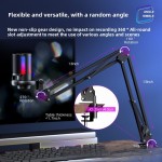 游戏麦克风厂家-USB录音麦克风带三脚架防喷罩直播PC
