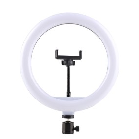 Portable Selfie Light Supplier - Circular Selfie Holder Live Streaming Fill Light Wholesale