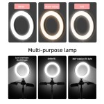 手机三脚架灯厂家-6英寸智能手机三脚架LED自拍环形灯双架