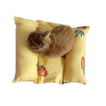 兔用垫生产商-高品质依偎床