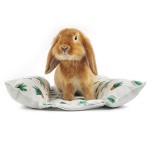 兔用垫厂家-小号依偎洞穴棉质