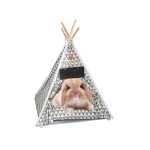 宠物帐篷厂家-户外便携锥形可折叠