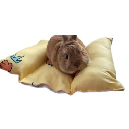 兔用垫厂家-小号依偎棉质睡眠