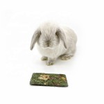 兔草饼厂家-提摩西仓鼠食品