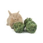 宠物食品清洁球生产商-磨牙苜蓿草