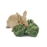 豚鼠食品厂家-批发提摩西草球