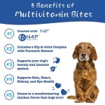 宠物维生素厂家-工厂批发软咀嚼营养补充剂11合1多种维生素宠物用