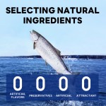 宠物零食厂家-N4p工厂直供15克金枪鱼鲫鱼宠物零食猫狗用