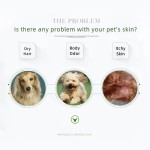 专业洗发水厂家-定制标识私有标签专业宠物洗发水宠物店用