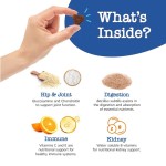 宠物维生素厂家-工厂批发软咀嚼营养补充剂11合1多种维生素宠物用