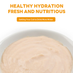 湿宠物食品厂家-OEM ODM天然鸡金枪鱼90克湿宠物食品高品质蛋白袋装