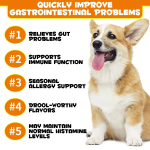 益生菌零食厂家-OEM/ODM 400克天然益生菌软咀嚼狗零食肠道健康