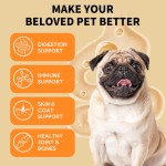 维生素滴剂厂家-OEM ODM 10合1宠物维生素滴剂带吸管多种维生素关节骨