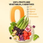 冻干零食厂家-N4P冻干猫狗零食混合水果蔬菜配方