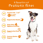 益生菌零食厂家-OEM/ODM 400克天然益生菌软咀嚼狗零食肠道健康