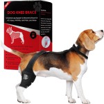 狗护具厂家-批发透气跗关节可调恢复套狗腿膝支架支持