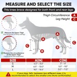 狗护具厂家-批发透气跗关节可调恢复套狗腿膝支架支持
