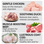 狗零食厂家-工厂批发健康狗食品高蛋白干粮鸡鸭饼干