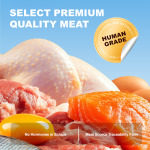 宠物罐头厂家-OEM ODM批发天然100克宠物零食多肉椰汤