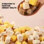 冻干零食厂家-OEM ODM 9种肉混合冻干零食40克高蛋白罐头