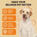 益生菌滴剂厂家-N4P现货备货批量订单益生菌宠物滴剂肠道健康免疫