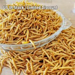 海虫鱼饵供应商-限时折扣高品质