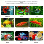 冻干鱼饲料生产商-红虫块