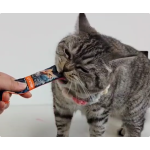 猫湿零食生产商-批发鸡肉三文鱼