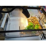 台式水族箱供应商-亚克力方形黑框