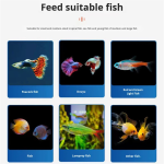 冻干鱼饲料生产商-红虫块