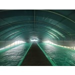 海虫鱼饵供应商-限时折扣高品质