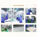 狗食品厂家-OEM ODM工厂直供高蛋白新鲜肉低碳水狗粮