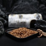 RANOVA麦麸虫厂家-RANOVA OEM批发纯天然饲料10磅麦麸虫动物食品