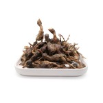 冻干鹌鹑零食厂家-有机易消化