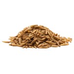 干黑水虻供应商-代工定制私标