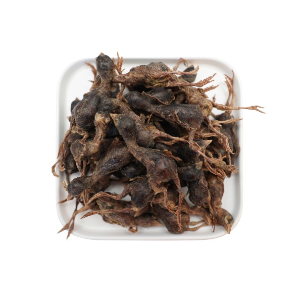 冻干鹌鹑零食厂家-有机易消化