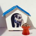 冻干鸡心供应商-兰诺瓦批发