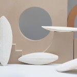 Ranova墨鱼骨厂家-Ranova墨鱼骨鸟食天然或漂白白色