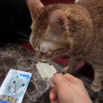 互动零食厂家-热门双蛋白冰淇淋手持零食冻干