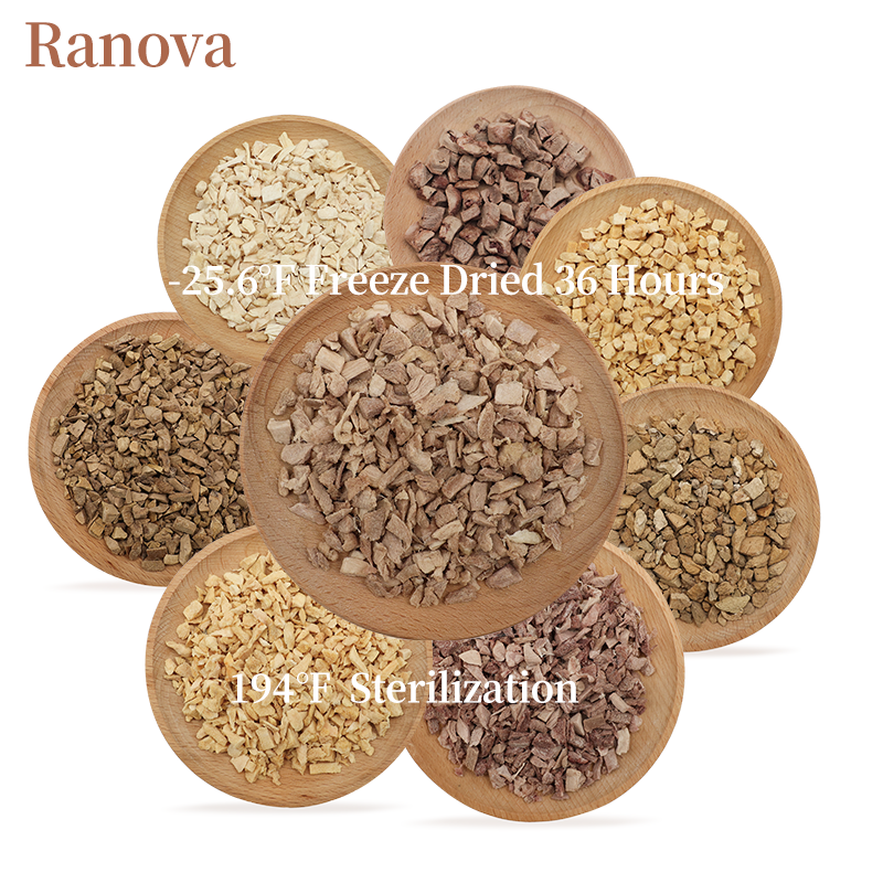 牛肉猫粮浇头厂家-高适口性天然