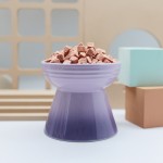 冻干猫粮供应商-兰诺瓦三文鱼蔓越莓