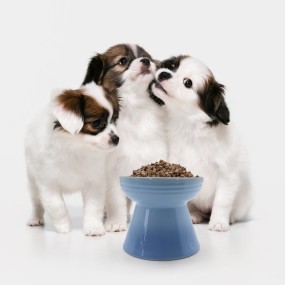 Freeze Dried Chicken Liver Factory - Ranova Premium Pet