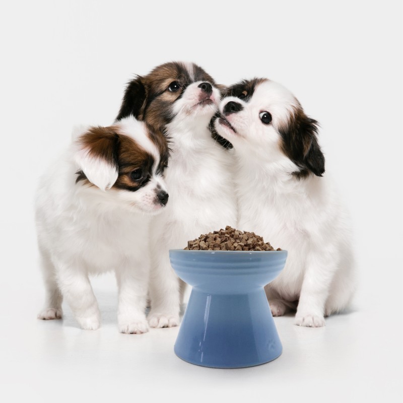 冻干鸡肝厂家-兰诺瓦高端宠物