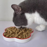 冻干猫粮生产商-兰诺瓦代工高端