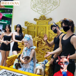 猫食品厂家-高蛋白环保猫食品OEM宠物食品工厂中国