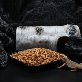 Freeze Dried Mealworms Supplier - Ranova Small Animals